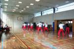 3. Modern Arnis Lehrgang Langenselbold mit Ingo Hutschenreuter (2015)