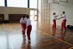 3. Modern Arnis Lehrgang Langenselbold mit Ingo Hutschenreuter (2015)