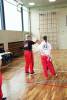 3. Modern Arnis Lehrgang Langenselbold mit Ingo Hutschenreuter (2015)