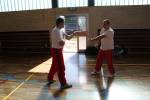 3. Modern Arnis Lehrgang Langenselbold mit Ingo Hutschenreuter (2015)