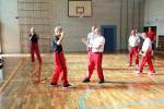 3. Modern Arnis Lehrgang Langenselbold mit Ingo Hutschenreuter (2015)